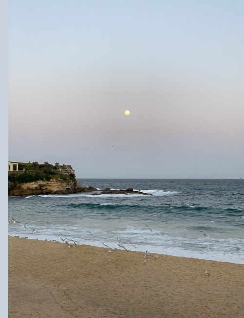 Twilight at Coogee Beach, with the moon over the water and seagulls on the sand.